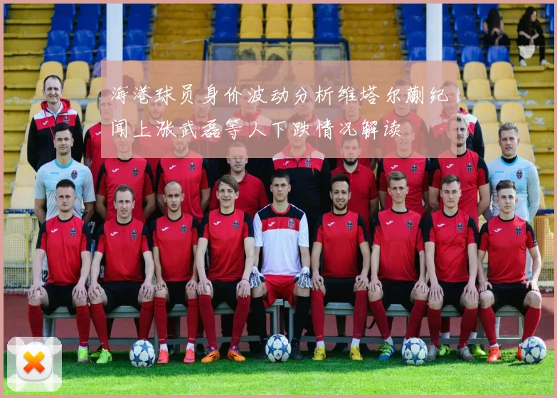 海港球员身价波动分析维塔尔蒯纪闻上涨武磊等人下跌情况解读