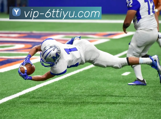 6T体育服务体系